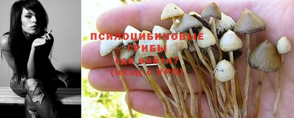 соль ск Алексеевка