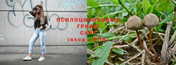 твердый Абаза
